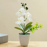 Party Decoration Phalaenopsis Bonsai Three Flower Film Simulation Flower Creative Artificial Home Simulation Pot Mother's Day