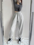 Wenkouban Harajuku Winter Warm Gray Joggers Sports Pants Women Korean Fashion Fleece Velvet Oversize Black Jogging Sweatpants Baggy